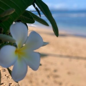 Meet your Posher, Ashlee